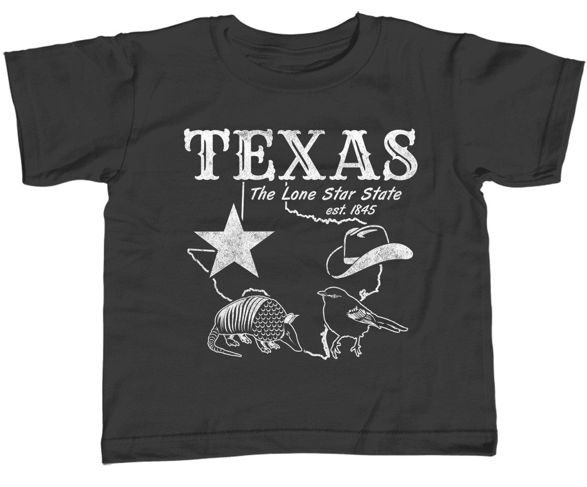 Custom t-shirt Astros Houston Stylish Vintage Austin Texas Next Level free  ship